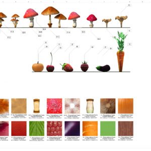 IDEATTACK (KR) - Detailed 38 1